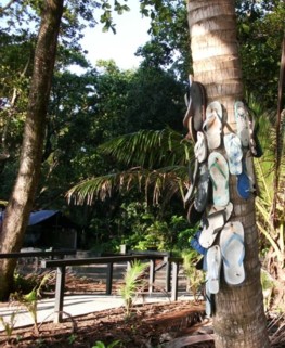 Totem pole for beachcombers at Wonga Beach.