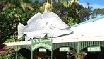 The Big Barrmundi in the main street of Daintree.