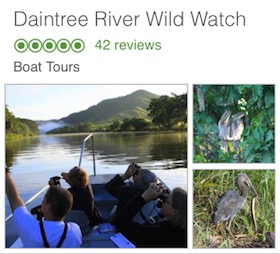 Daintree River Wild Watch banner