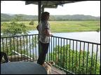 Overlooking the Daintree River from the verandah.