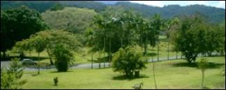 View of the park below the verandah of Daintree River Lodge rooms.