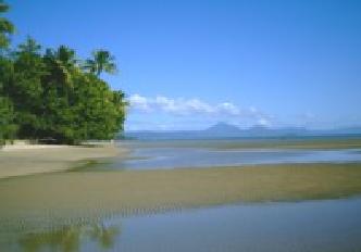 The view of Wonga Beach from the Wonga Beach Caravan Park.